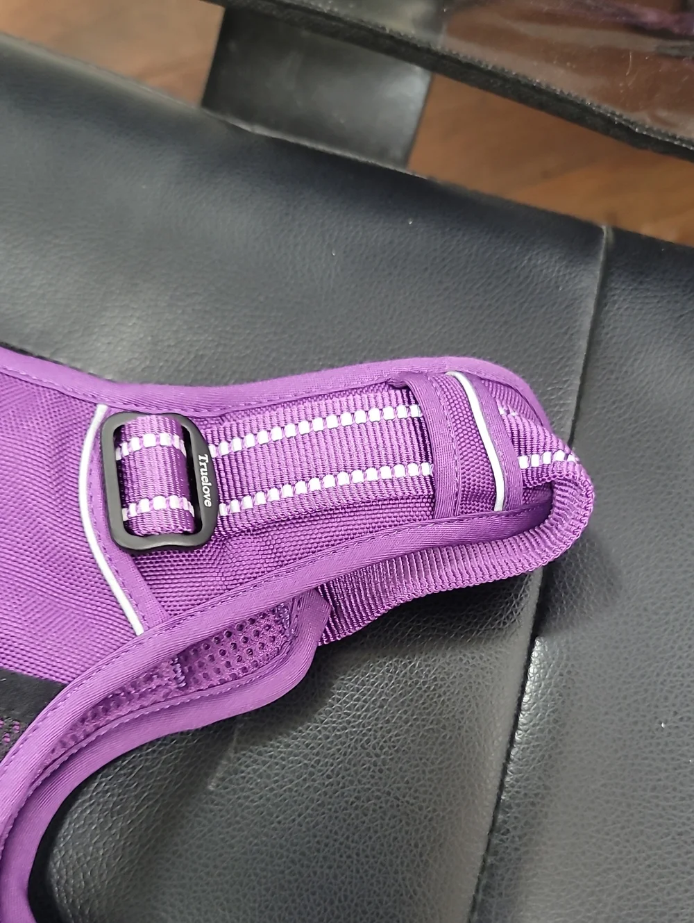 Purple Mesh Dog Harness for Kids Accessories